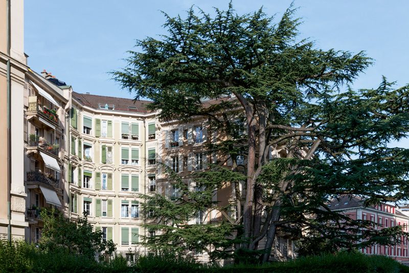 © Marino Trotta – Ville de Lausanne